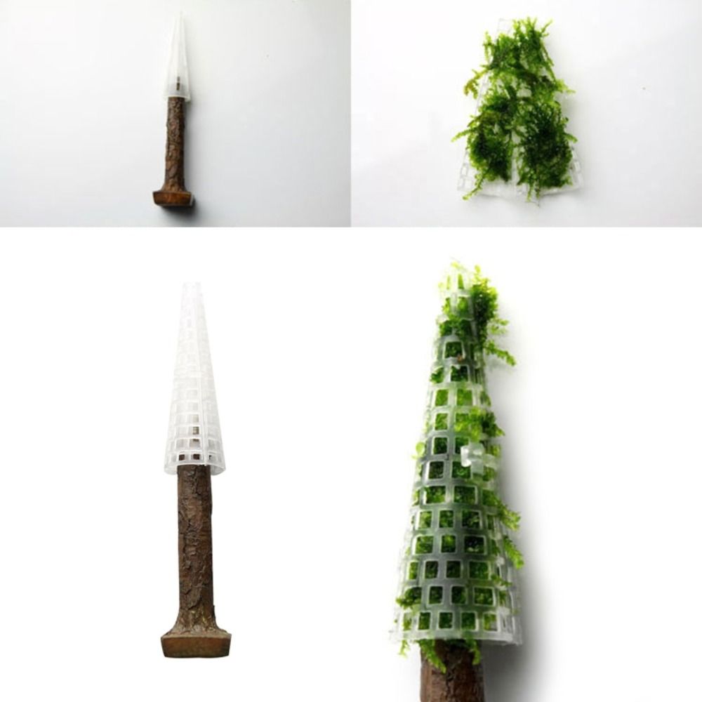 Aquarium Planted Background - Simulierter Weihnachtsbaum Aquarium-Moos-Pflanzenhalter Weihnachtsmoos-Pflanzenzucht Mini-Baumform Aquarium-Dekoration