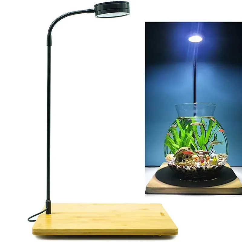 Planted Aquarium For Betta - Vollspektrum-LED-Licht mit Leuchtplatte für Aquarien, Nano-Tanks,