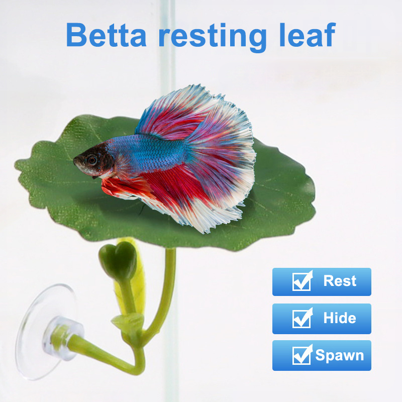 Planted Aquarium For Betta - (Ce14)1/5PC Grüne Blatt-Hängematte für Betta-Fische, stressreduzierende,