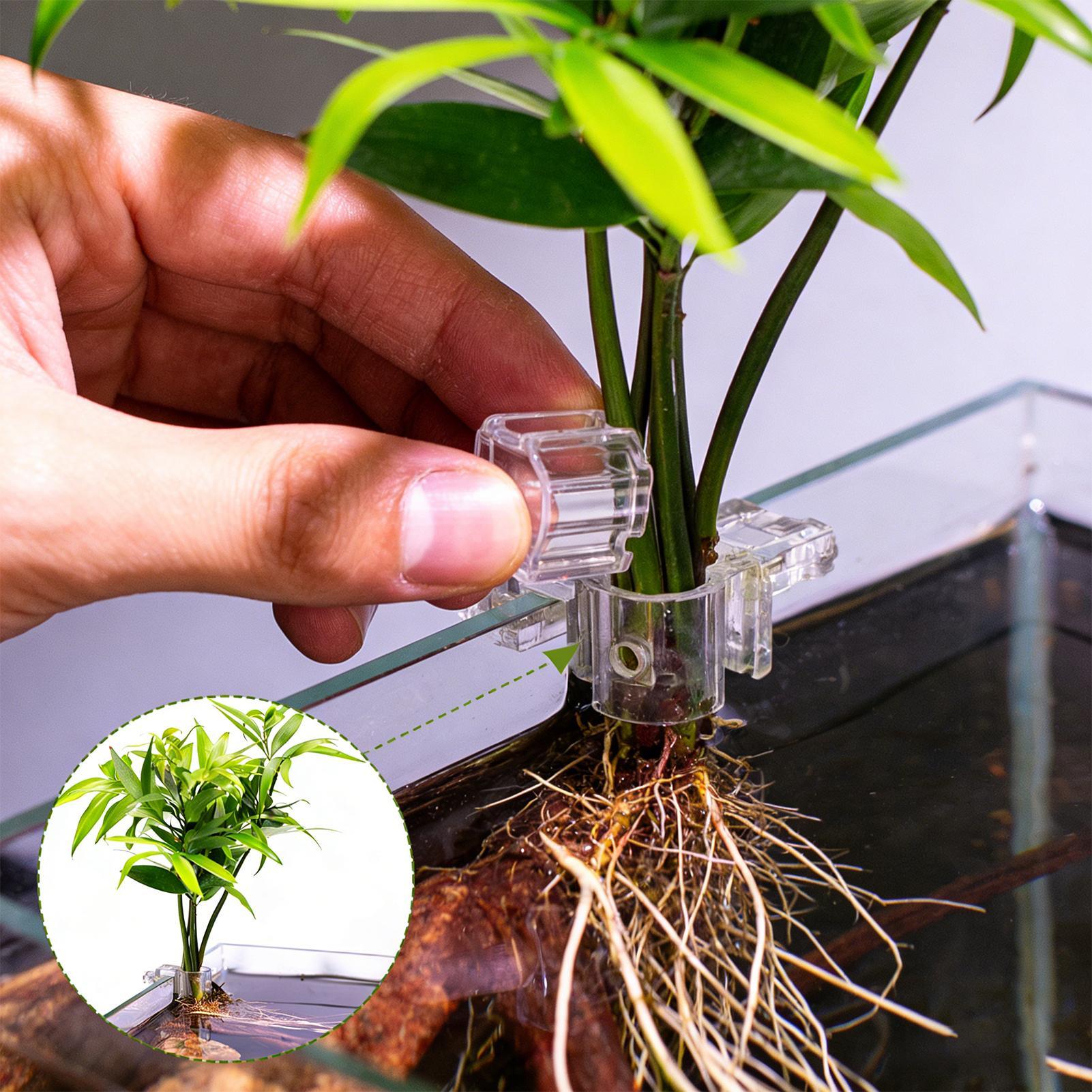 Planted Aquarium Materials - 6 Stück Aquarium-Pflanzenhalter Transparente Pflanzhalterung Aufhängbare