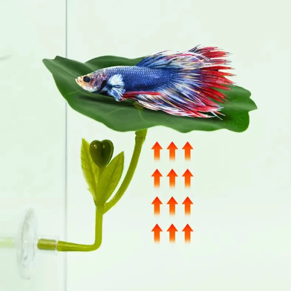 Planted Aquarium For Betta - 1 Stück Grüne Blatt-Betta-Fisch-Hängematte, stressreduzierende, aquariensichere
