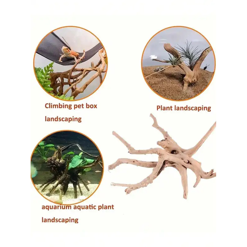 Natürliches Treibholz zur Aqua – Planted Aquarium Media Bewertung und Preis
