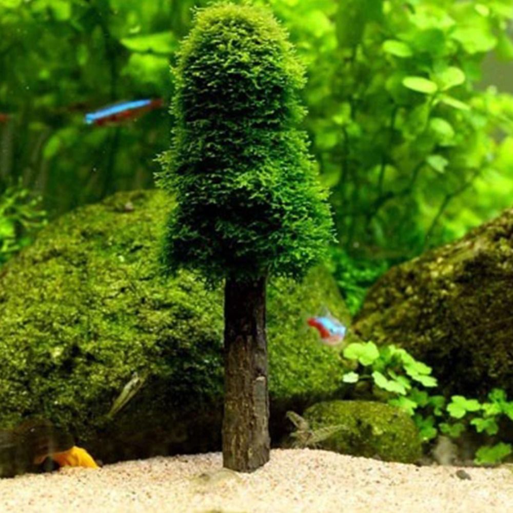 Simulierter Weihnachtsbaum Aqu – Aquarium Planted Background Bewertung und Preis