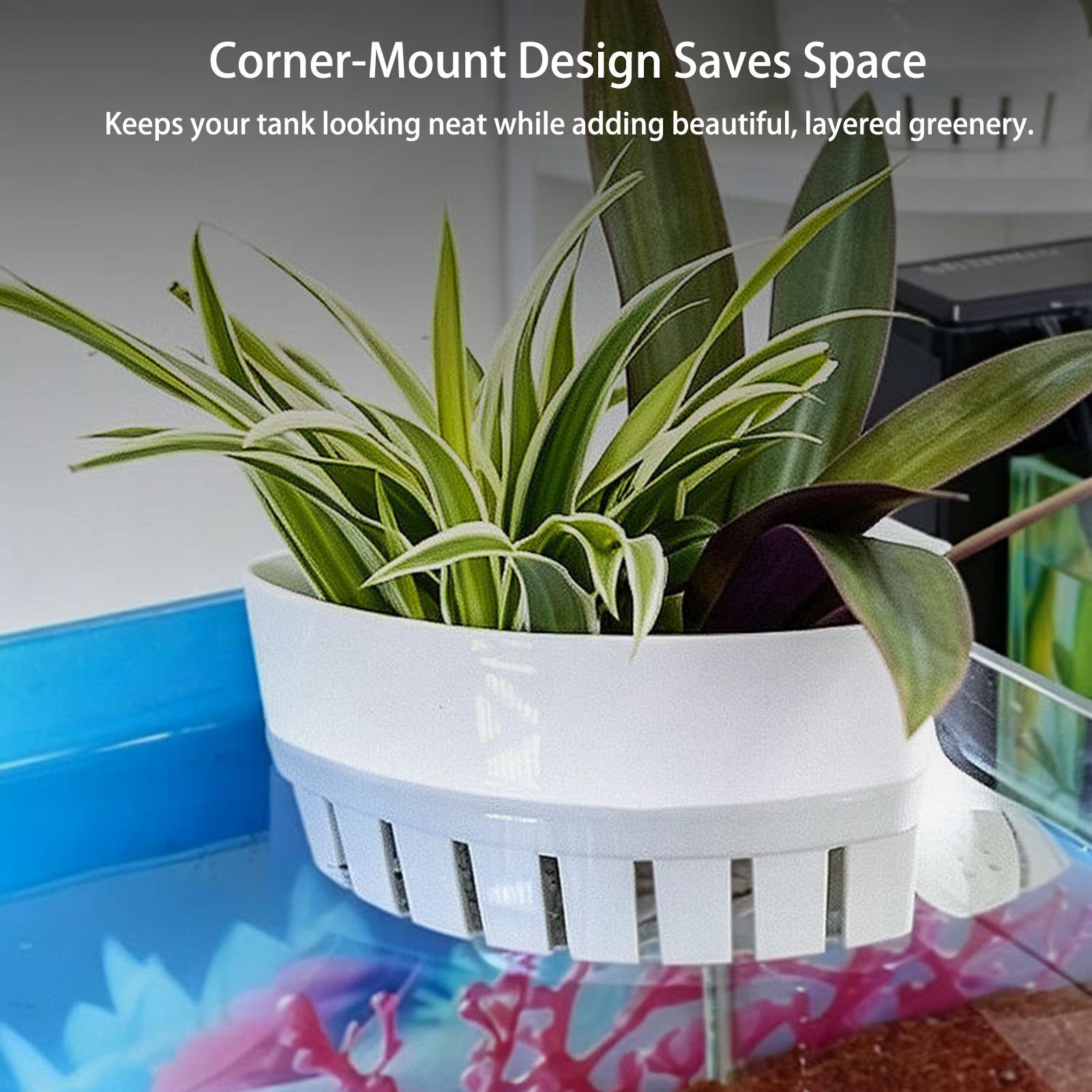 Aquarium-Pflanzenkorb Hydropon – Aquarium Planted Background Bewertung und Preis