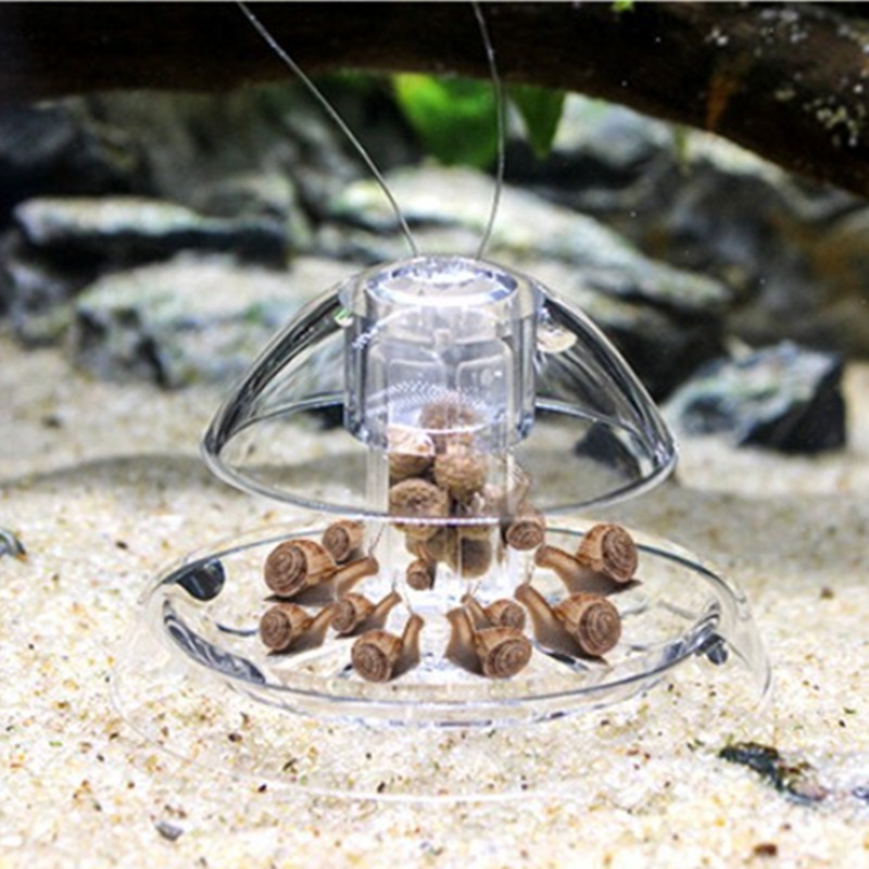 1 Stück Aquarium Aquarium Rein – Planted Aquarium Materials Bewertung und Preis