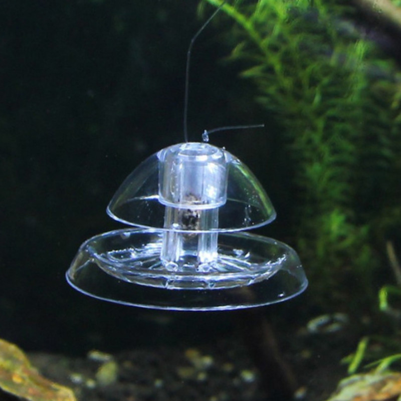 1 Stück Aquarium Aquarium Rein – Planted Aquarium Materials Bewertung und Preis