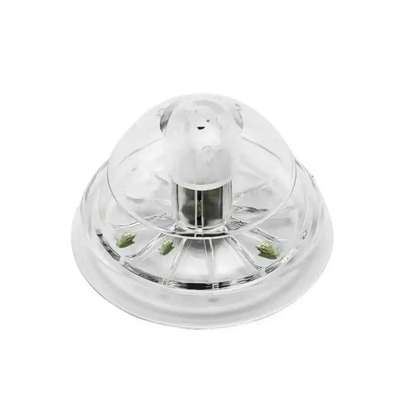 2026 Neu 6/8CM Klare Plastik-S – Planted Aquarium Materials Bewertung und Preis
