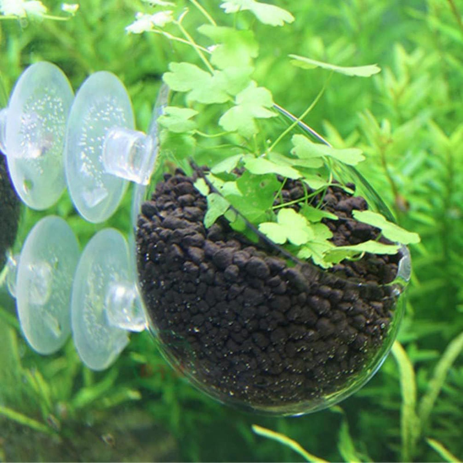 Aquarium-Pflanzenhalter Glas-W – Planted Aquarium Materials Bewertung und Preis
