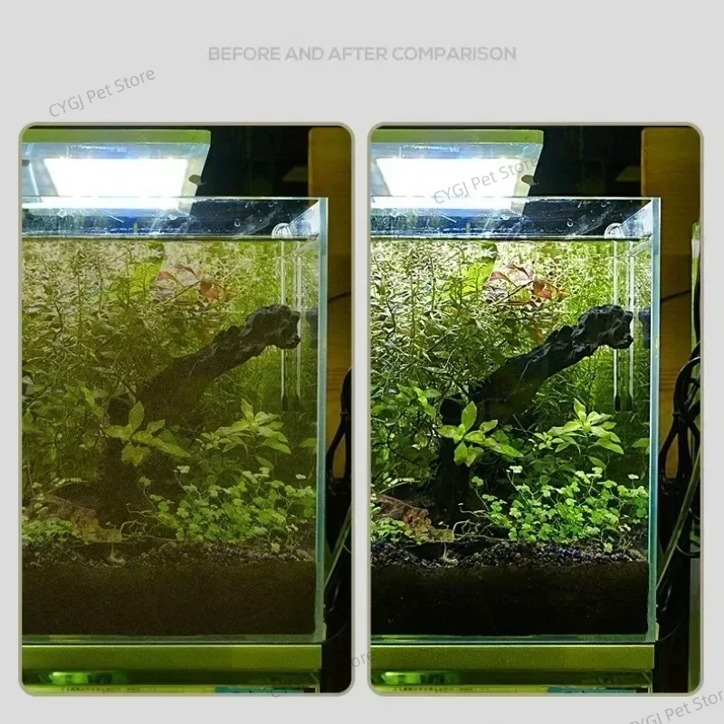 Aquarium Reinigung Werkzeug Fl – Planted Aquarium Kit Bewertung und Preis