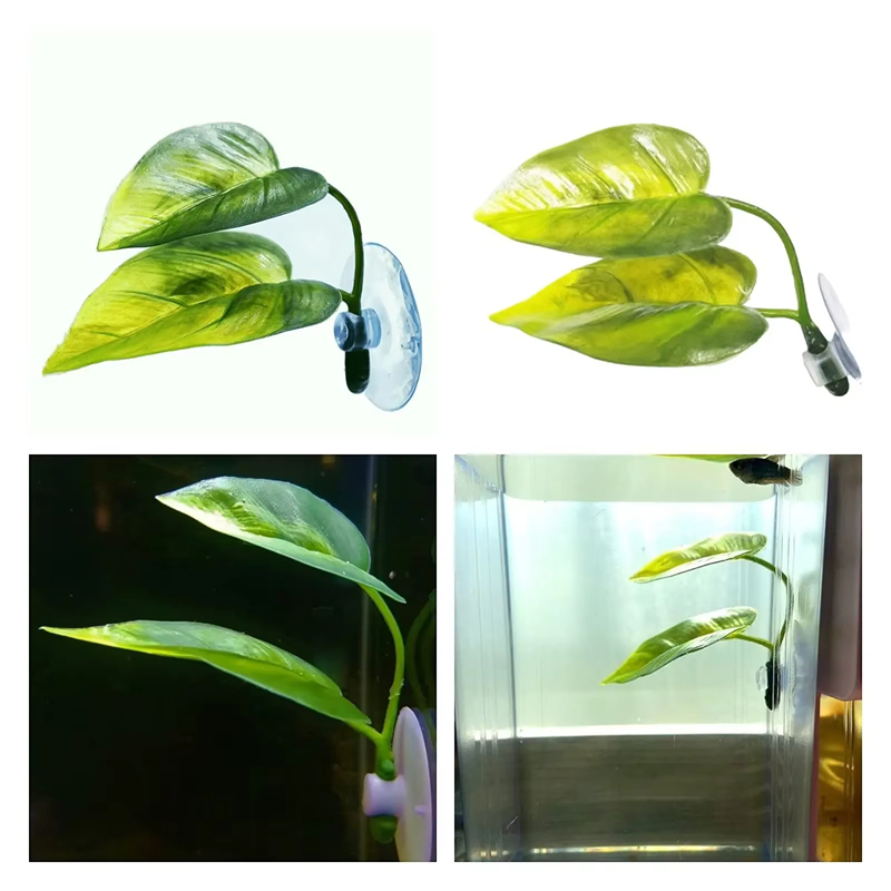 Aquarium-Zubehör Dekoration Kü – Planted Aquarium For Betta Bewertung und Preis