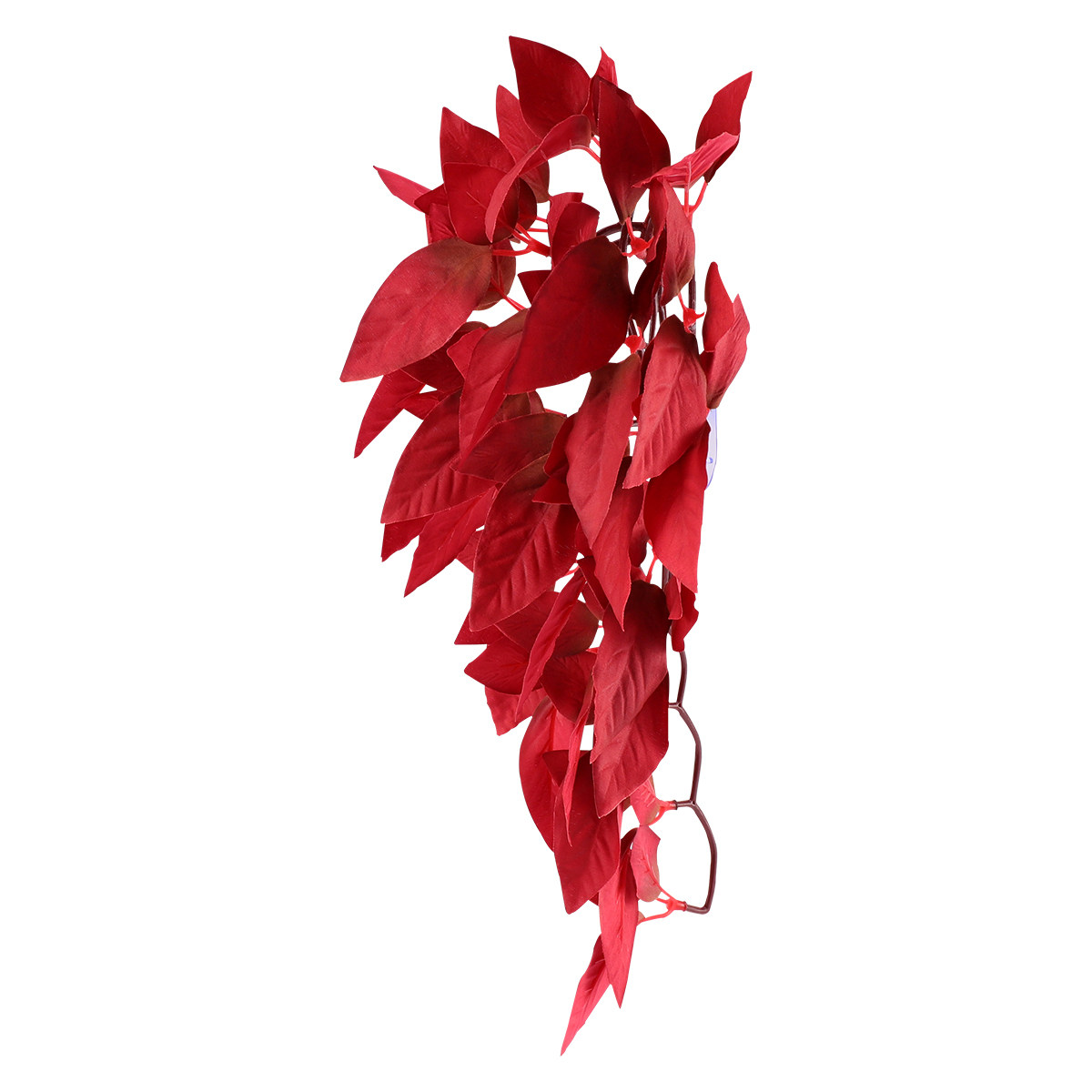 Rote Simulationspflanze, leben – Aquarium Plant Red Bewertung und Preis