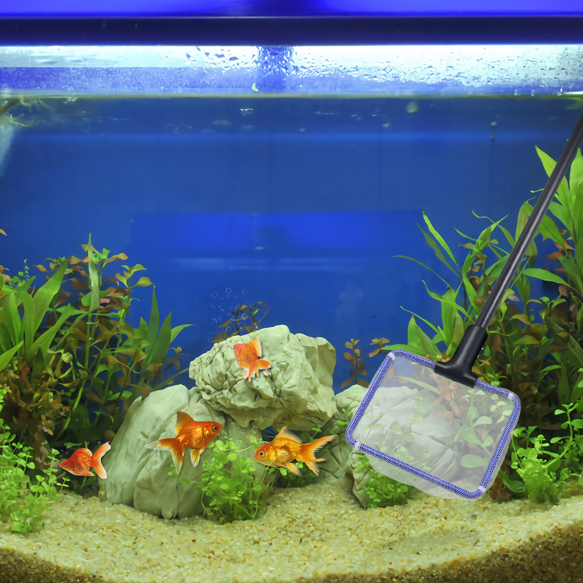 5-in-1 Aquarium-Reinigungsset: – Planted Aquarium Cleaning Kit Bewertung und Preis
