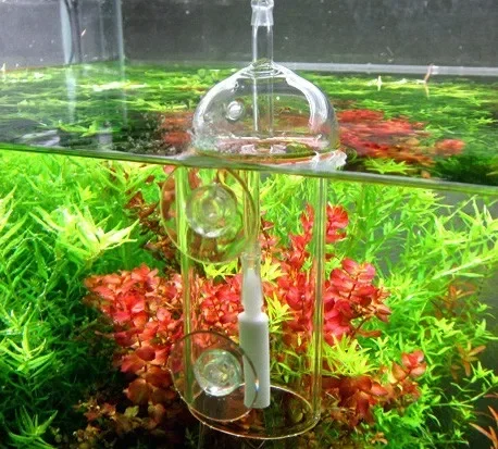 VIV Do Device Aquarium-Zylinde – Glass Co2 Drop Checker Bewertung und Preis