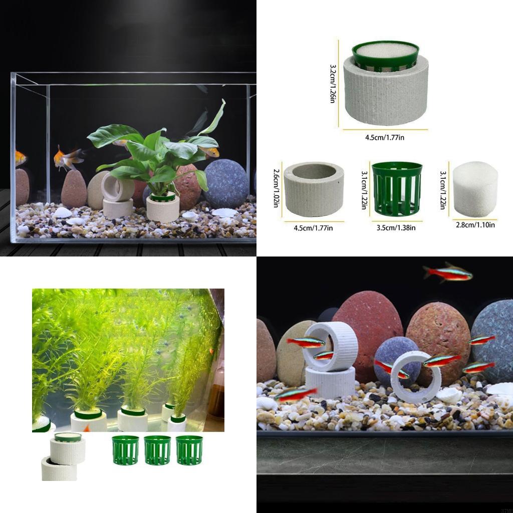 37ME 10-teiliges Aquariumpflan – Aquarium Planted Background Bewertung und Preis