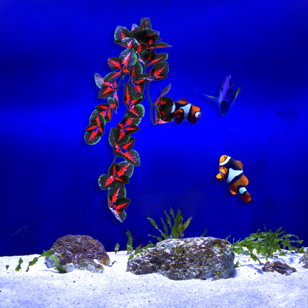 Aquarium-Dekoration, künstlich – Aquarium Plant Red Bewertung und Preis