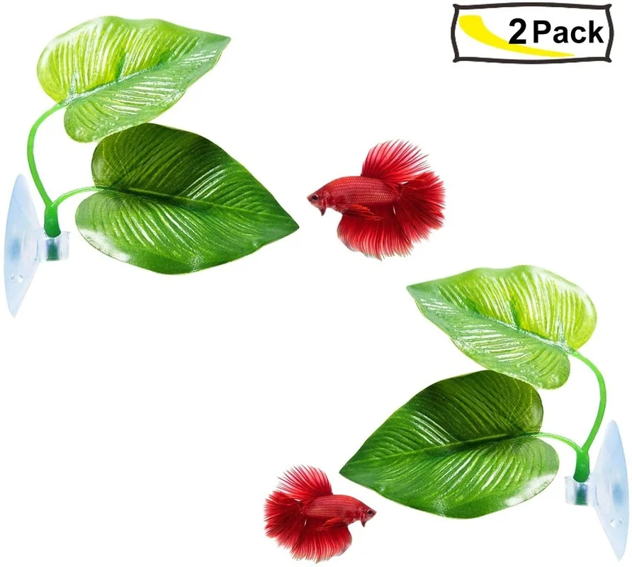 Betta-Fischblatt-Hängematte, d – Planted Aquarium For Betta Bewertung und Preis
