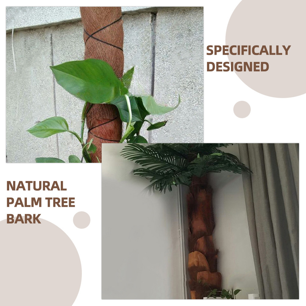 5 Stück lebensechte Palmenrind – Aquarium Planted Background Bewertung und Preis