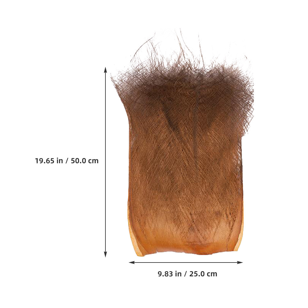 5 Stück lebensechte Palmenrind – Aquarium Planted Background Bewertung und Preis