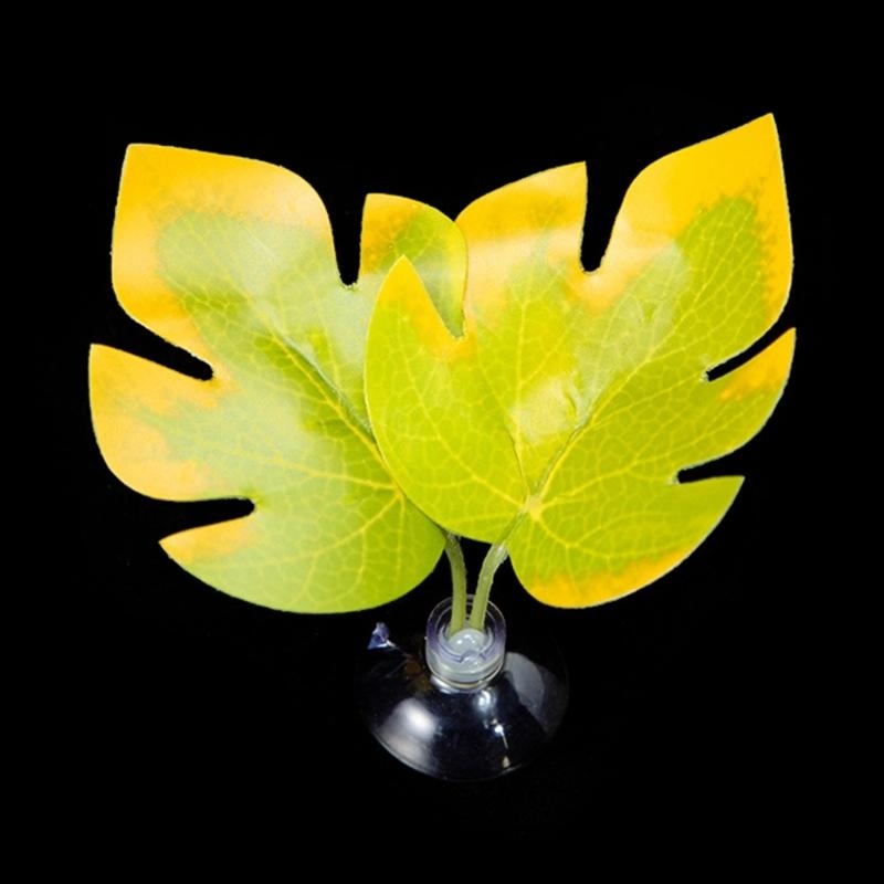 Fischblatt-Pad-Hängemattenbett – Planted Aquarium For Betta Bewertung und Preis