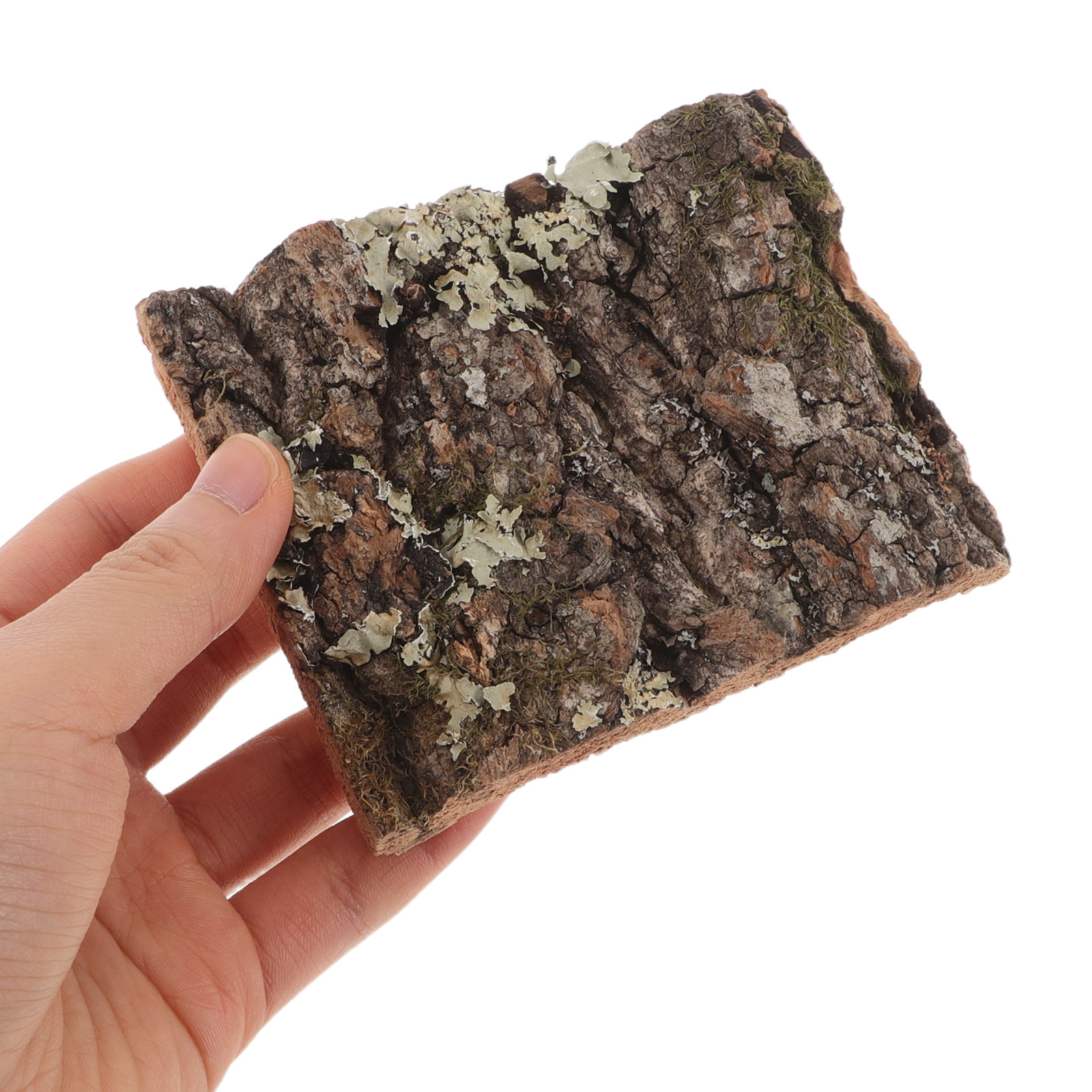 Korkrinde Baumrinde für Reptil – Aquarium Planted Background Bewertung und Preis