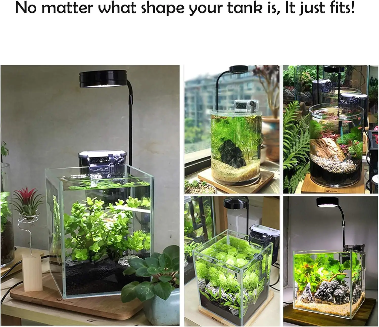 LED-Aquarium-Wachstumslicht mi – Planted Aquarium For Betta Bewertung und Preis