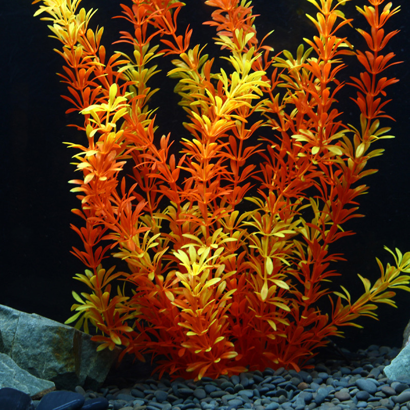 100cm Tropische Pflanzen, Groß – Planted Aquarium Materials Bewertung und Preis