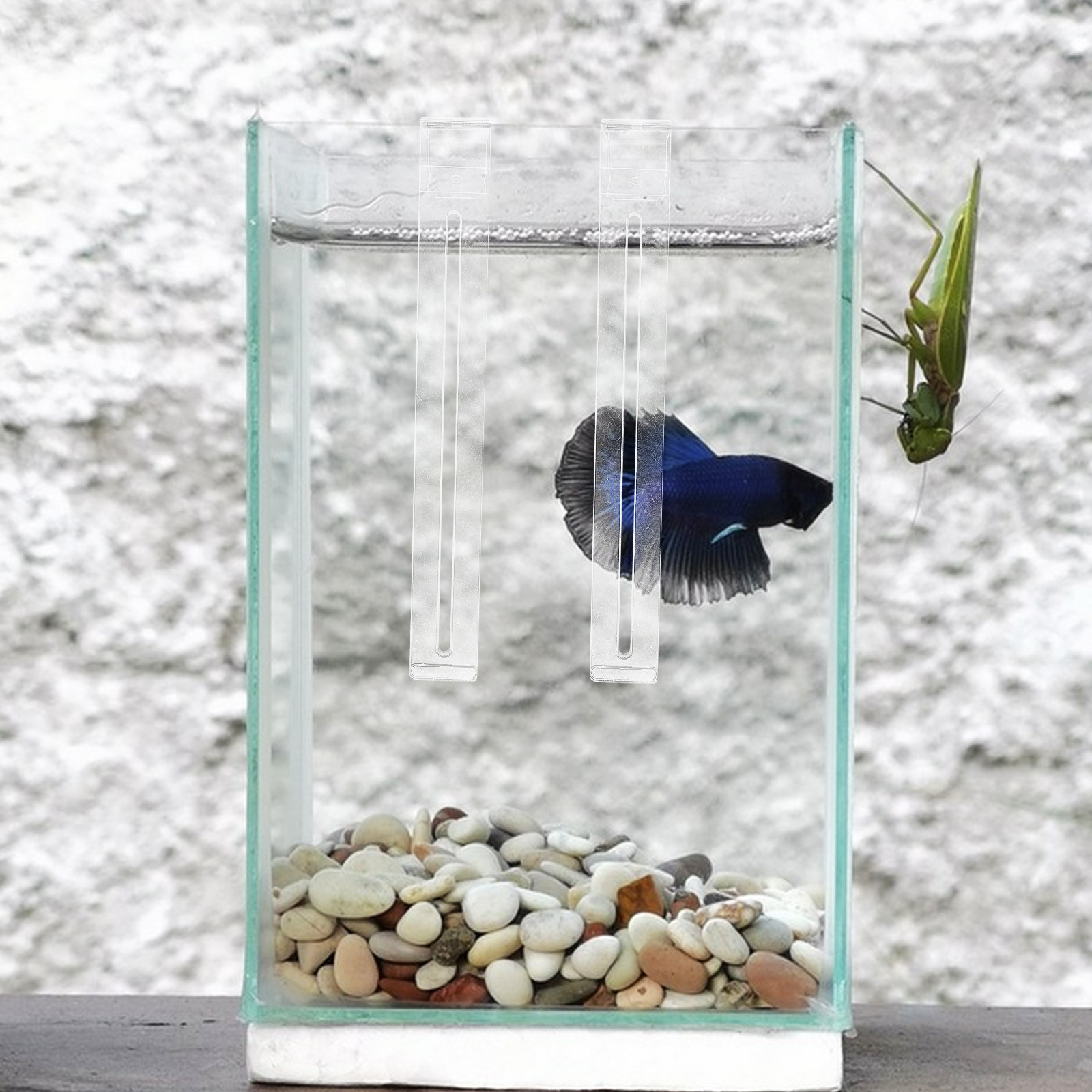 2 Stück platzsparende, transpa – Planted Aquarium For Betta Bewertung und Preis