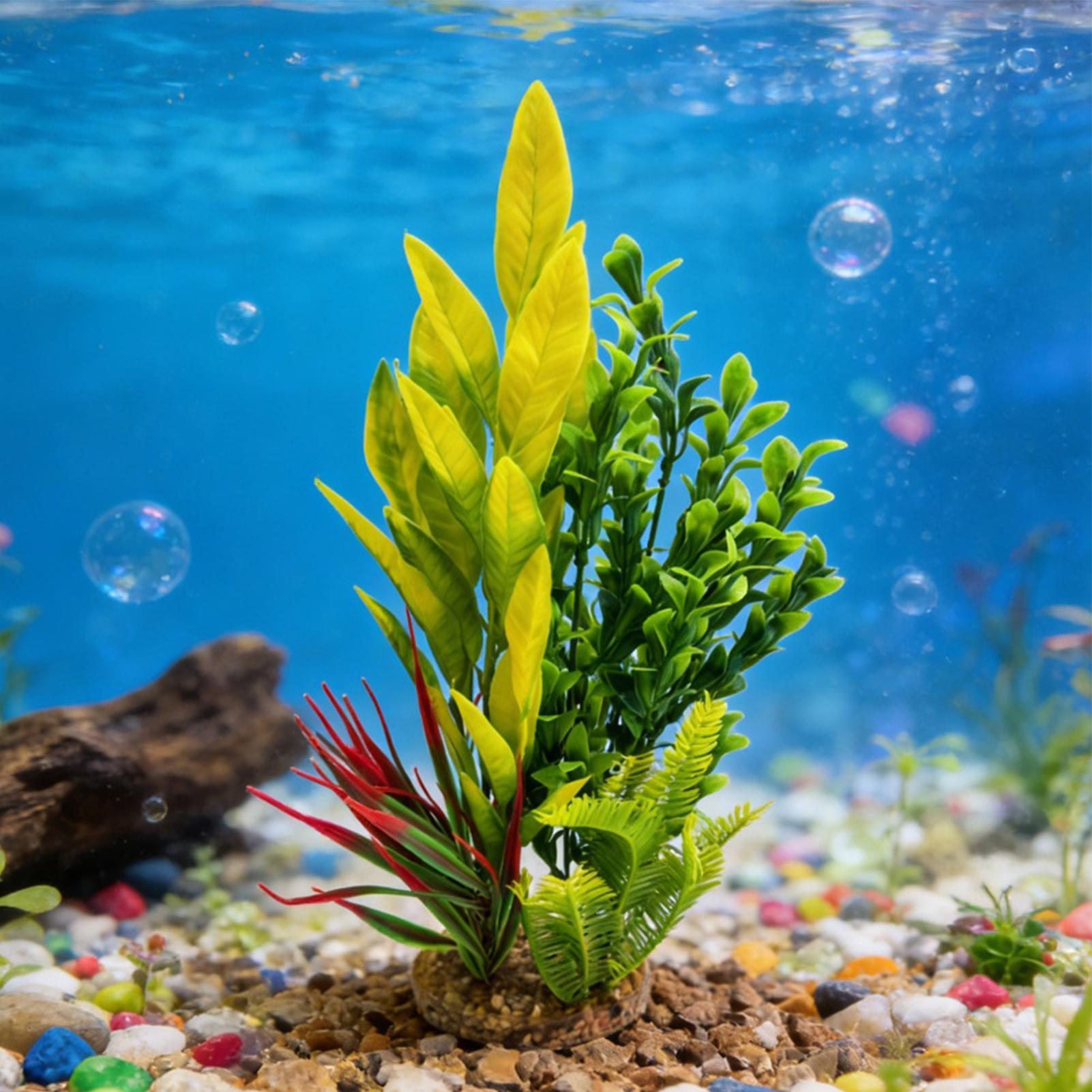 Künstliche Aquarienpflanzen, G – Planted Aquarium For Betta Bewertung und Preis