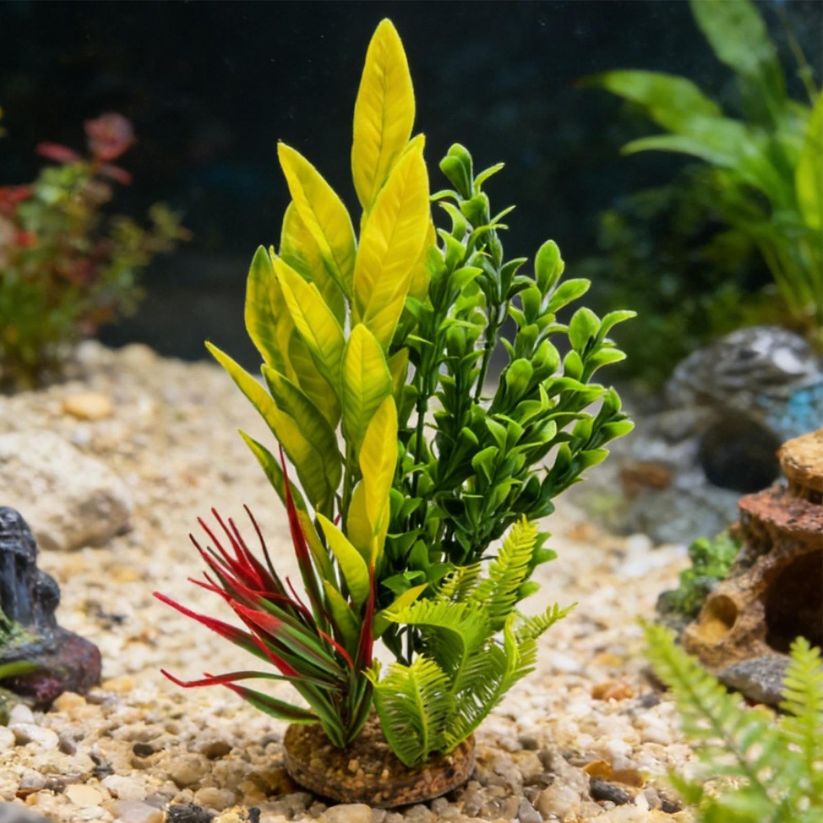 Künstliche Aquarienpflanzen, G – Planted Aquarium For Betta Bewertung und Preis