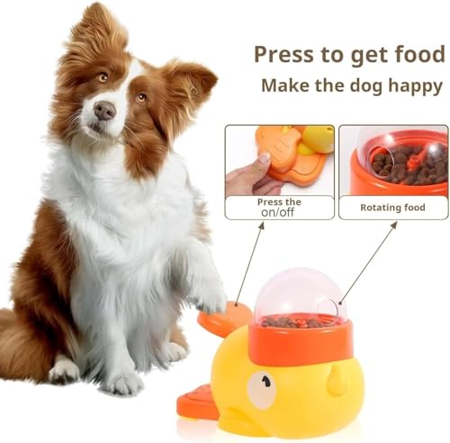 Slow-Food-Schüssel für Haustie – Royal Canin Food Medium Bewertung und Preis