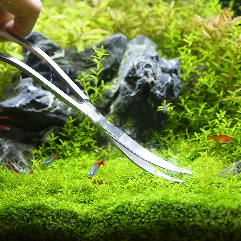 Aquarium Schere Werkzeuge Aqua – Planted Aquarium Kit Bewertung und Preis