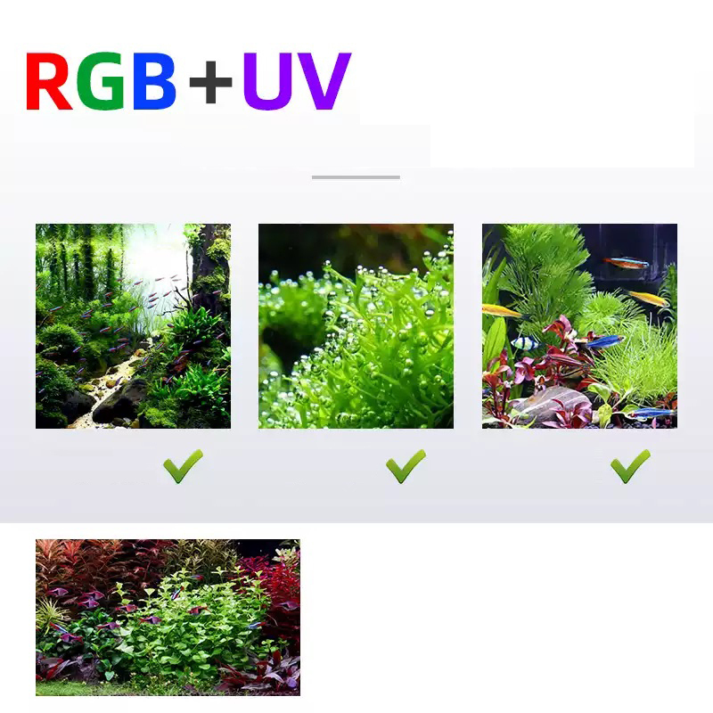 Led-beleuchtung 60 cm 80 cm 90 – Aquarium Plant Iron Bewertung und Preis