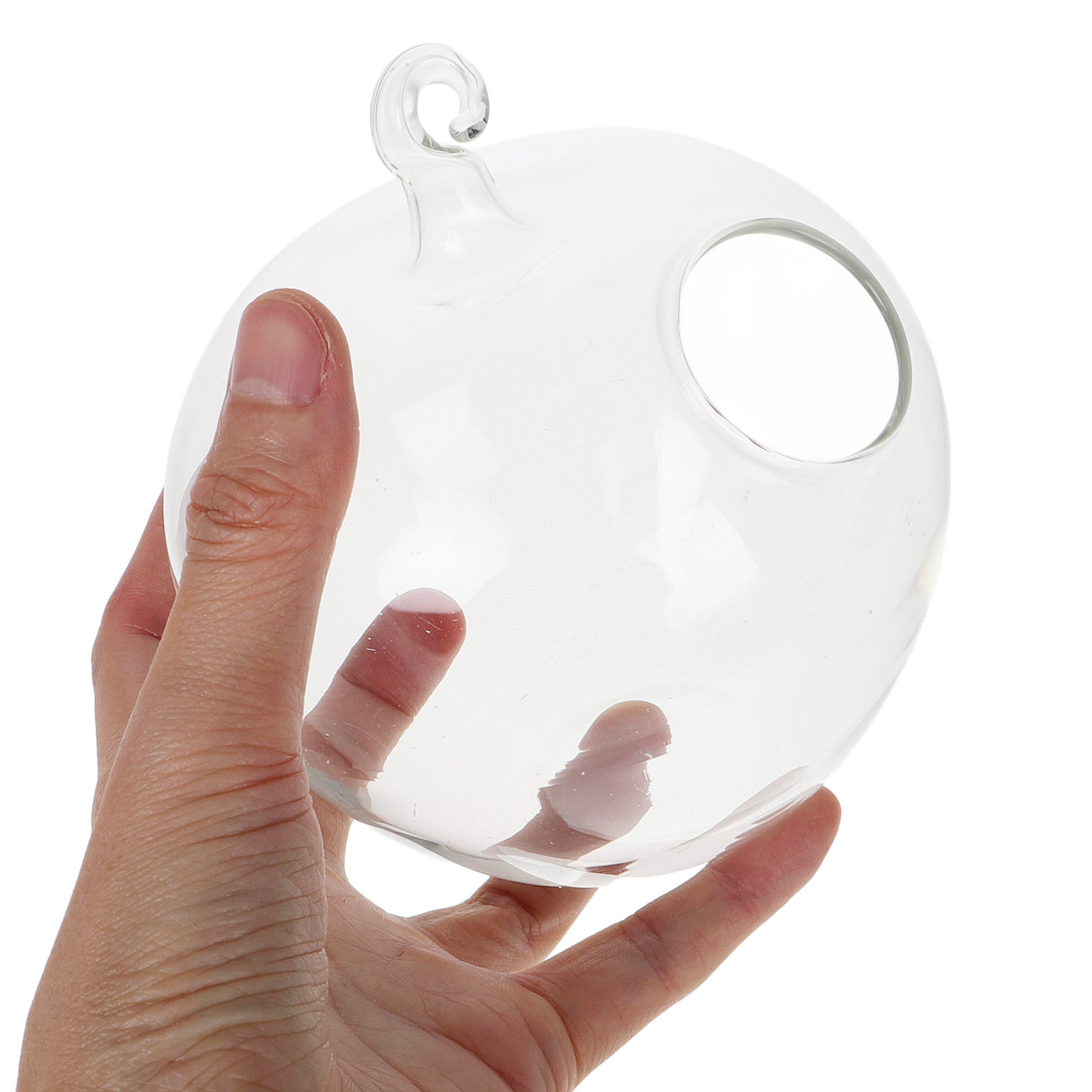 Geformtes Transparentes Glas-A – Planted Aquarium For Betta Bewertung und Preis