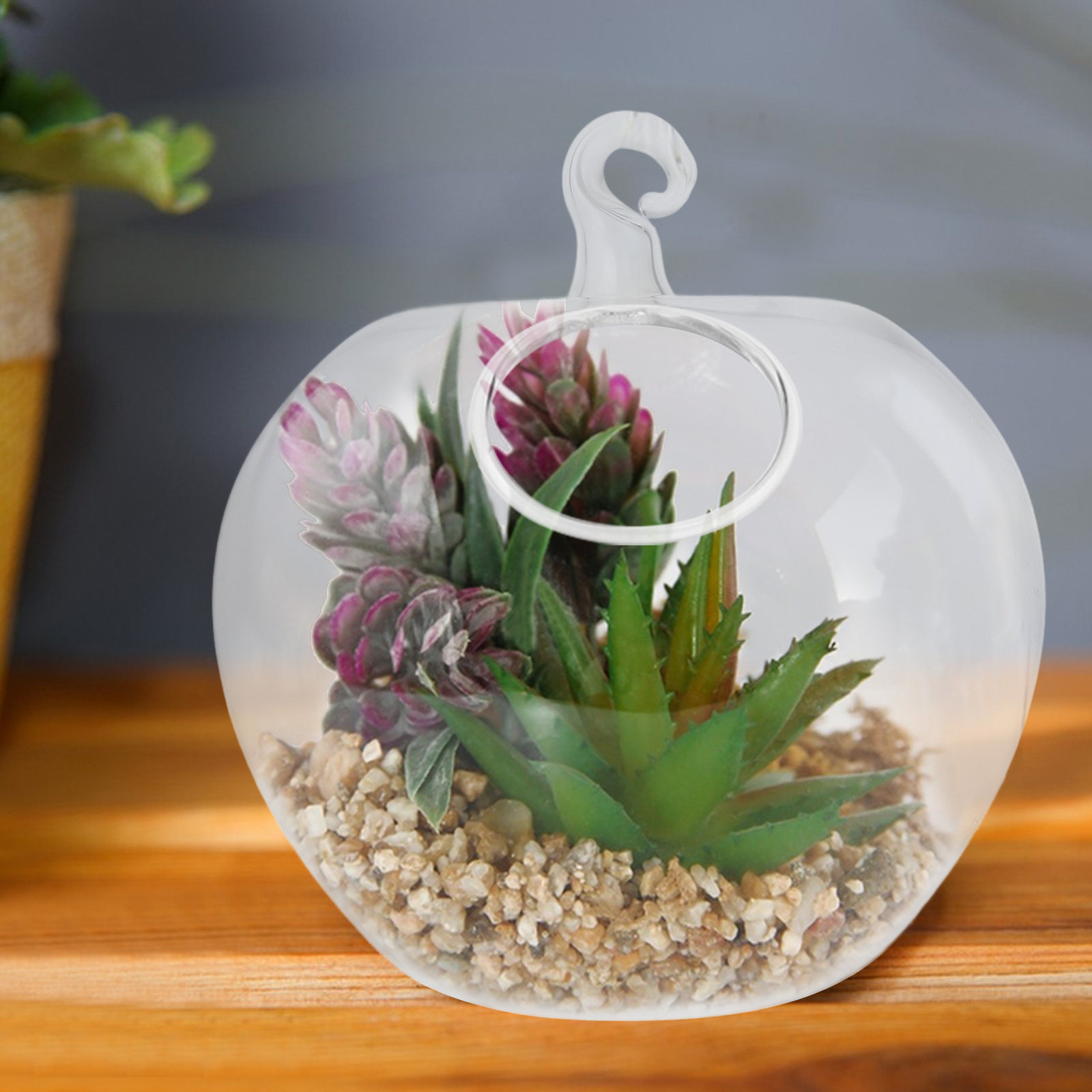 Geformtes Transparentes Glas-A – Planted Aquarium For Betta Bewertung und Preis
