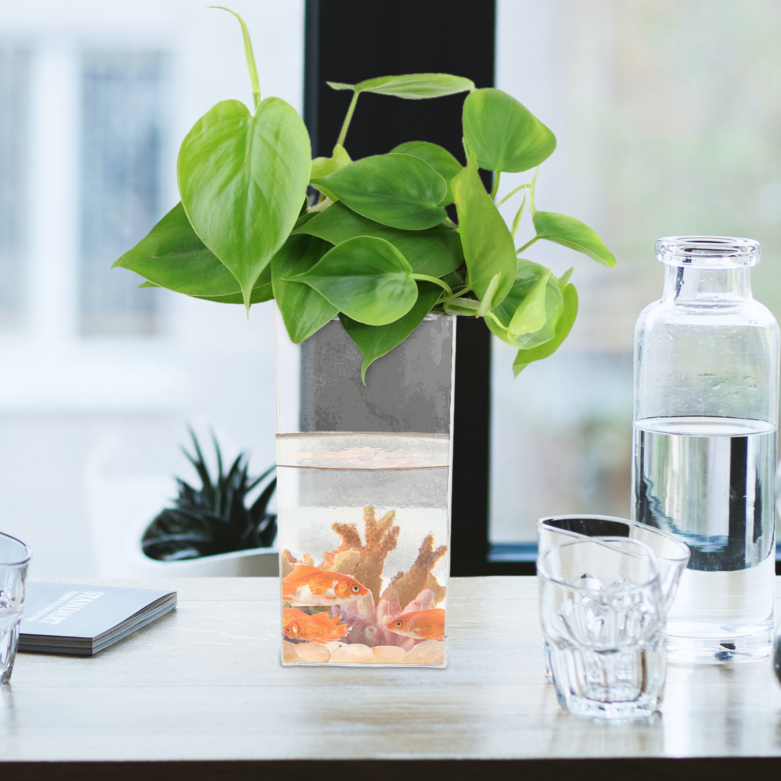 Leichtes, transparentes Kunsts – Planted Aquarium For Betta Bewertung und Preis