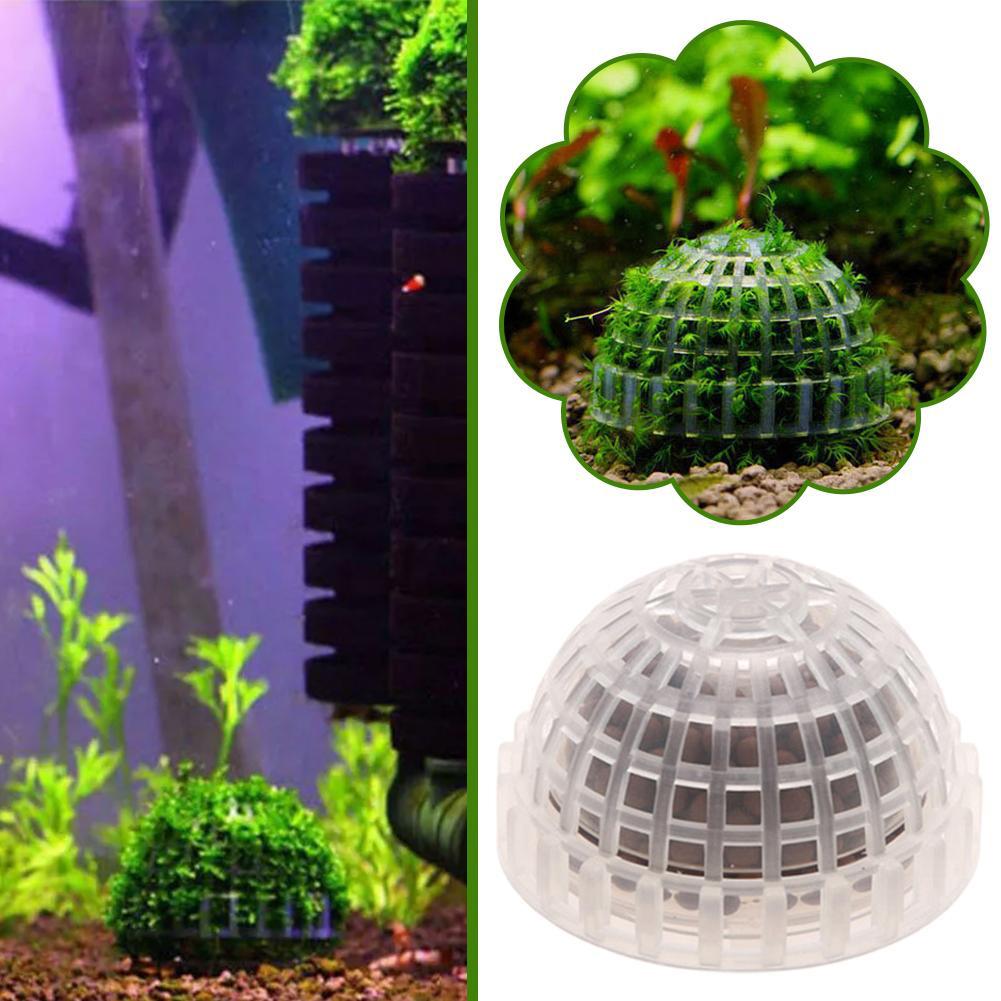 1-5 Stück Aquarium-Dekorations – Aquarium Plant Red Bewertung und Preis