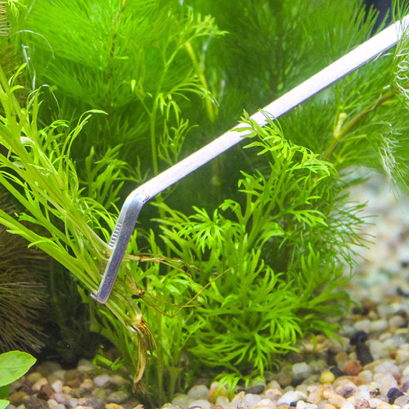 Professionelles Aquarium-Wartu – Planted Aquarium Cleaning Kit Bewertung und Preis