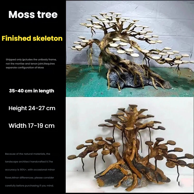 Aquarium-Landschaftsgestaltung – Planted Aquarium Media Bewertung und Preis