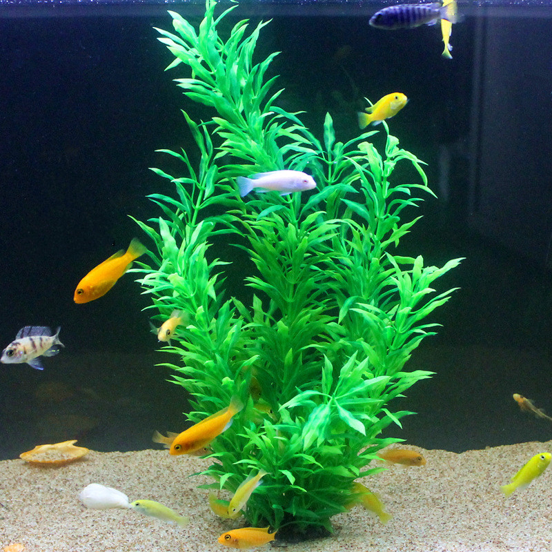 50CM Künstliche Aquarium Selte – Planted Aquarium Materials Bewertung und Preis