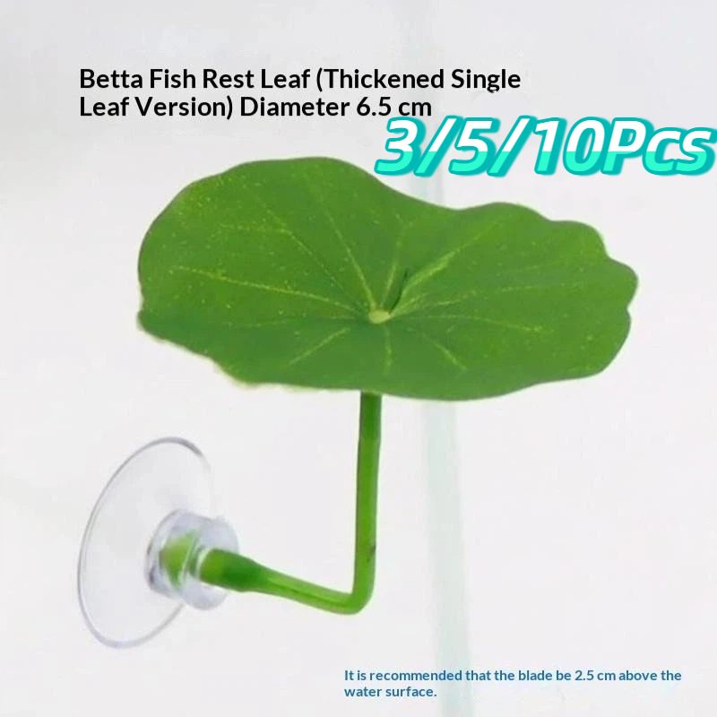 3/5/10 Stück Kunststoff-Betta- – Planted Aquarium For Betta Bewertung und Preis