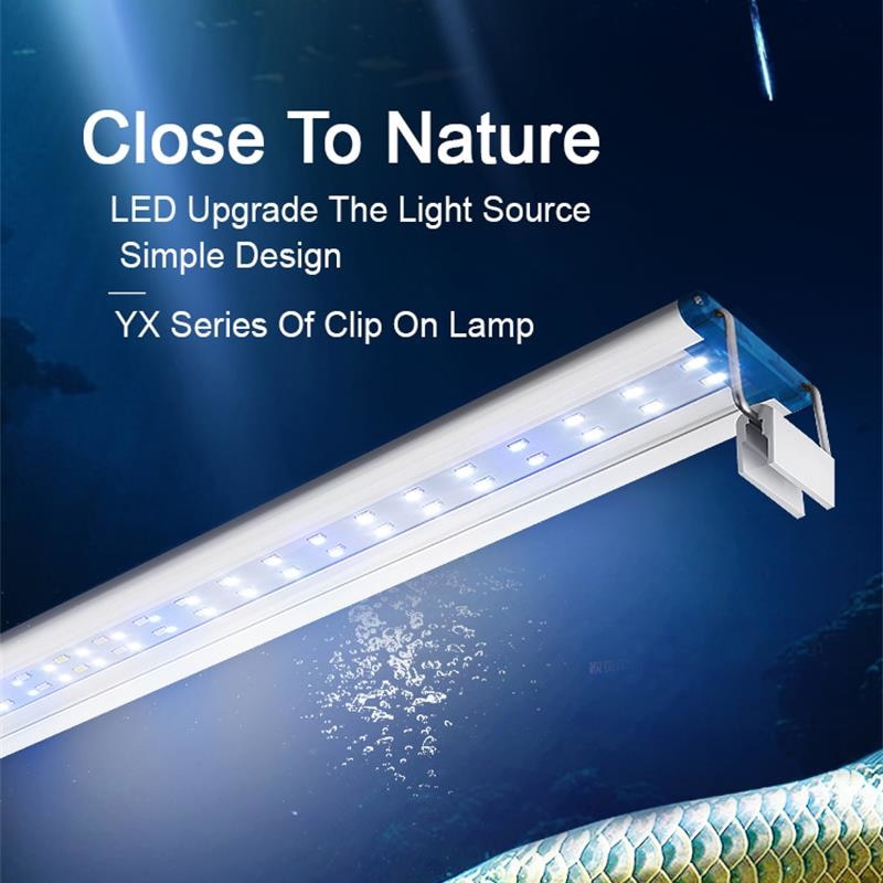 Ausziehbare wasserdichte Clip  – Aquarium Plant Iron Bewertung und Preis