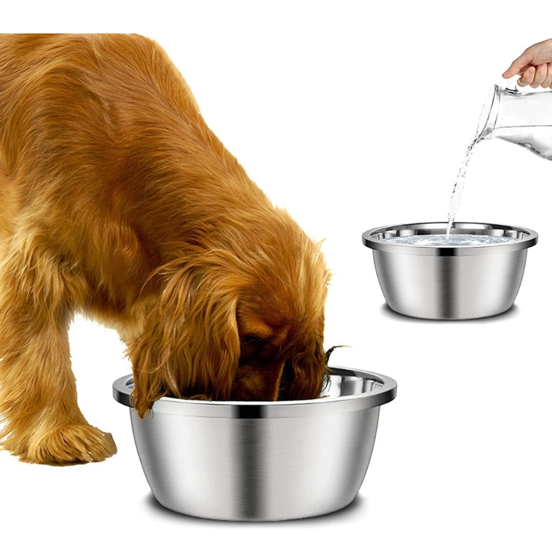 Edelstahl-Hundenäpfe 20cm 24cm – Royal Canin Food Medium Bewertung und Preis