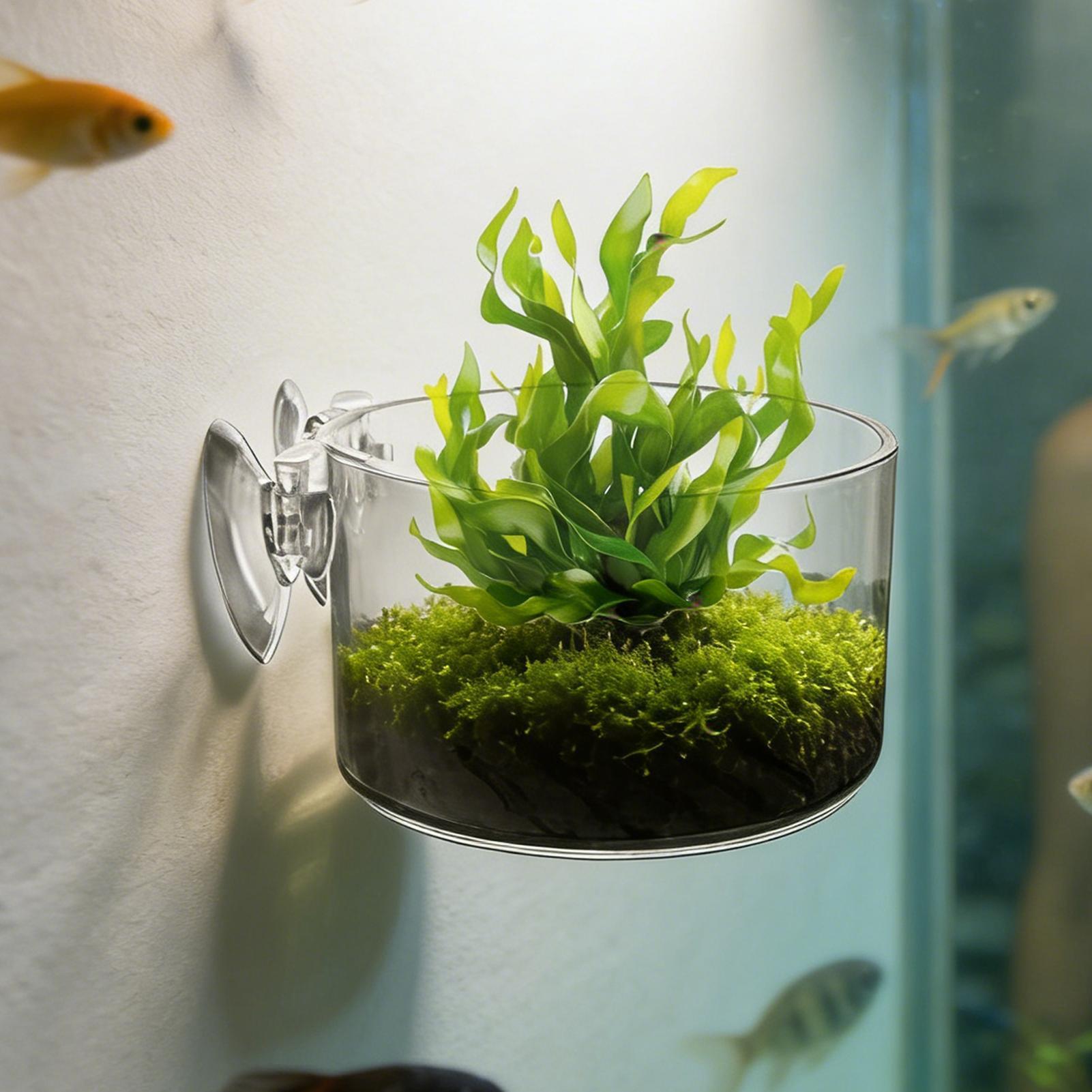Aquarium-Pflanzenhalter aus Ac – Aquarium Planted Background Bewertung und Preis