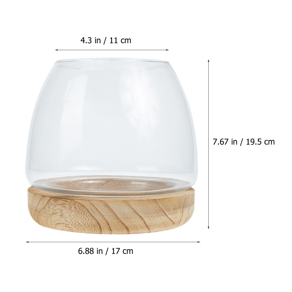 1 Set, durchsichtiges Glas-Ter – Planted Aquarium For Betta Bewertung und Preis