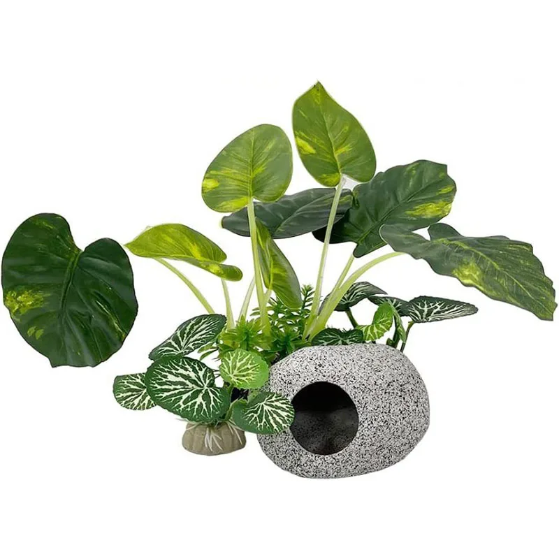 Kleine Unterwasser Gras Aquari – Aquarium Planted Background Bewertung und Preis